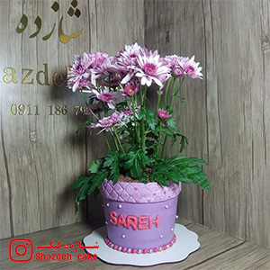 کیک تولد شازده کیک بندرانزلی