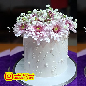 سفارش آنلاین کیک و شیرینی در بندرانزلی | شازده کیک