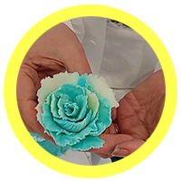 کیک با تکنیک اسکالپچر | شازده کیک بندرانزلی